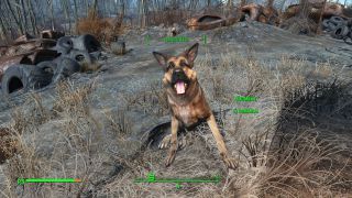 FALLOUT4 00026