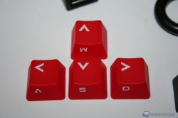 CM_STORM_QUICKFIRE_RAPID_00016